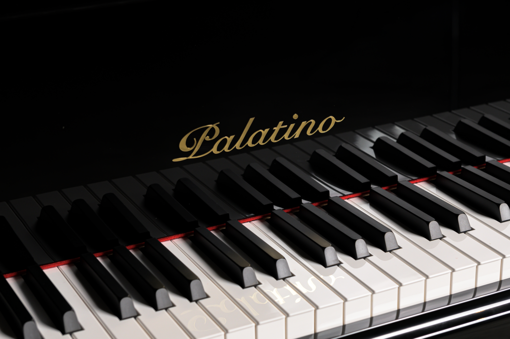 6317f0bcde52e3259de7ea63_Piano